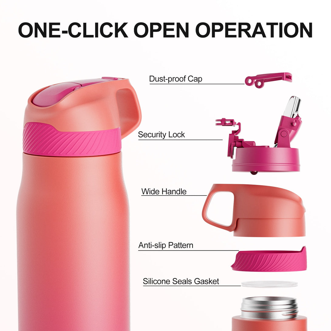 24 oz Stainless Steel Insulated Water Bottle With Straw